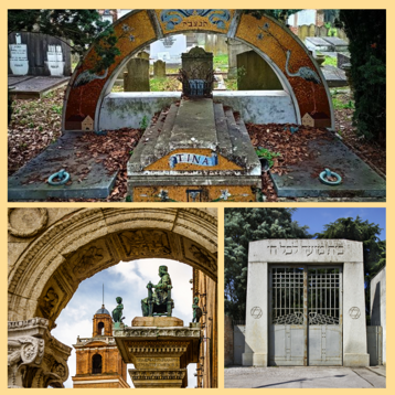 b39cc2fc-78c0-4c35-acb8-fab220584255 b39cc2fc-78c0-4c35-acb8-fab220584255