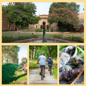 a504cc09-cb76-4b4e-a244-2fa4cf7e1c24