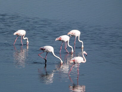 599700cb-f1f6-4c01-a2bd-607757ebe432 599700cb-f1f6-4c01-a2bd-607757ebe432