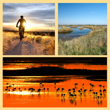 fd184803-725a-44a7-b78a-059813539500 fd184803-725a-44a7-b78a-059813539500