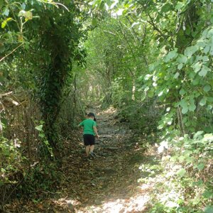 1752496247771%20(1).jpeg 1752496247771%20(1).jpeg