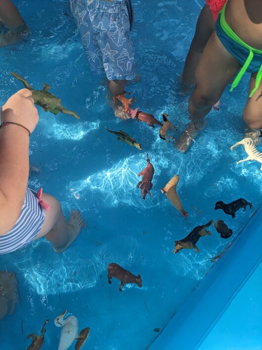 1752064553095.jpeg 1752064553095.jpeg