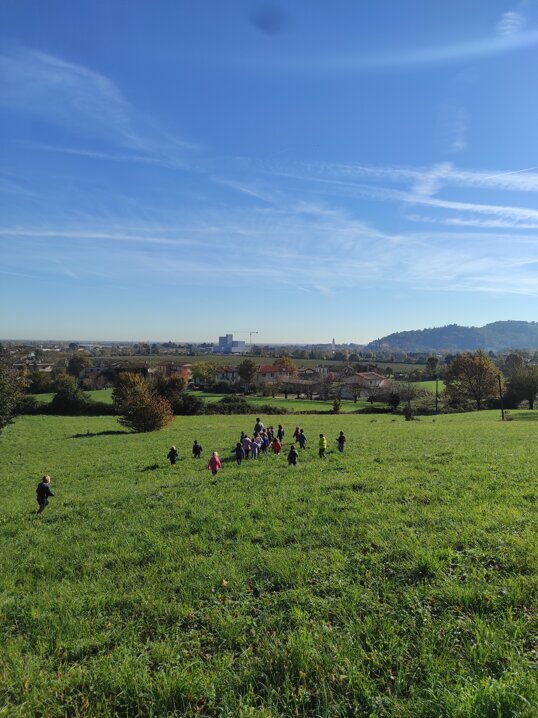 1762345148417.jpeg 1762345148417.jpeg