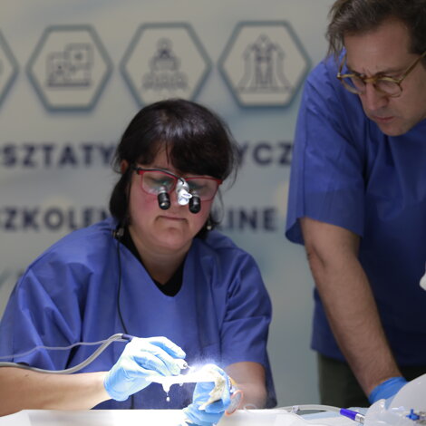 _mg_8726.jpeg _mg_8726.jpeg