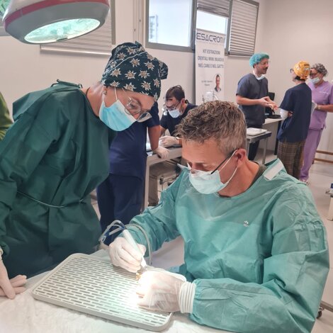 whatsapp%20image%202025-09-29%20at%2010.51.30.jpeg whatsapp%20image%202025-09-29%20at%2010.51.30.jpeg