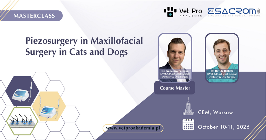 screenshot 2026-04-03 at 20.31.44