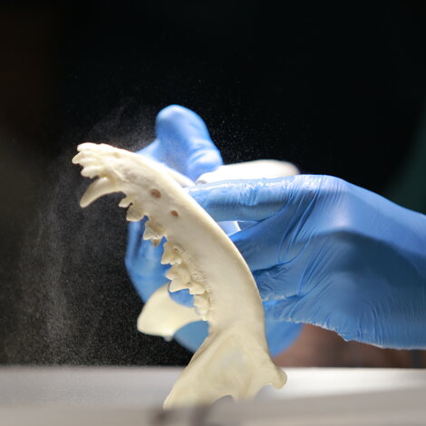 _mg_8562.jpeg _mg_8562.jpeg