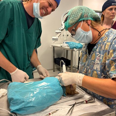 48ec4b13-0c8b-4211-a8bf-7576e58a3d15.jpeg 48ec4b13-0c8b-4211-a8bf-7576e58a3d15.jpeg