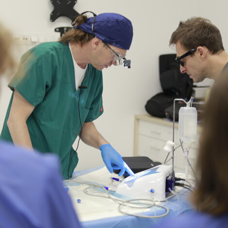 _mg_8664.jpeg _mg_8664.jpeg