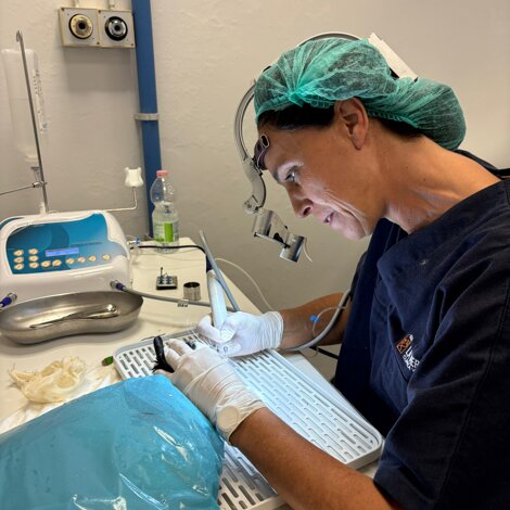 photo-2025-09-28-14-09-28.jpeg photo-2025-09-28-14-09-28.jpeg