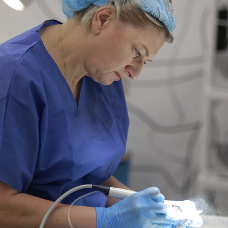 _mg_8771.jpeg _mg_8771.jpeg