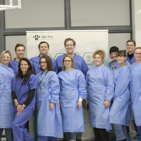 _mg_9105.jpeg _mg_9105.jpeg