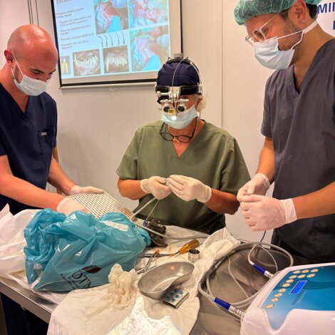 photo-2025-09-28-14-11-02.jpeg photo-2025-09-28-14-11-02.jpeg