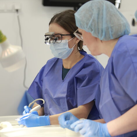 _mg_8620.jpeg _mg_8620.jpeg