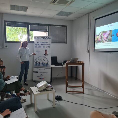 photo-2025-09-28-13-40-17.jpeg photo-2025-09-28-13-40-17.jpeg