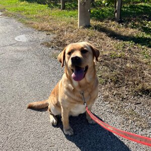 susie%202.jpeg susie%202.jpeg