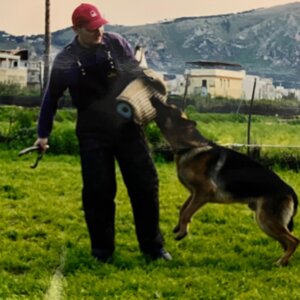 fitalesis%20e%20stefania.jpeg fitalesis%20e%20stefania.jpeg