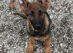 io%20e%20uma%20.jpeg io%20e%20uma%20.jpeg