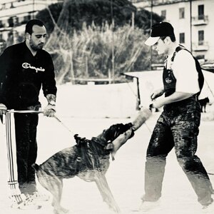 ginevra%203%20.jpeg ginevra%203%20.jpeg