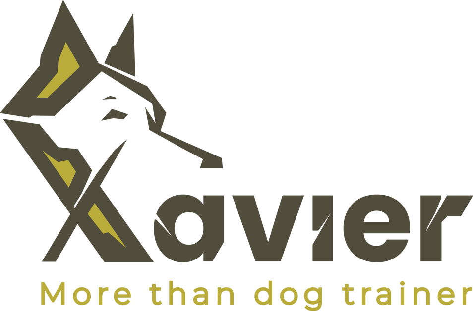 xavier_logo_cmyk xavier_logo_cmyk