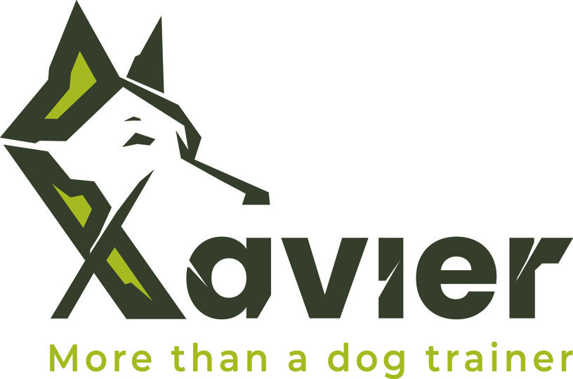 xavier_logo_cmyk.jpeg