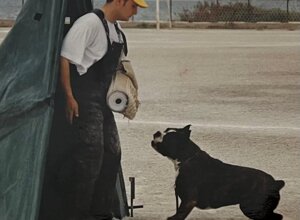 immagine%20whatsapp%202025-08-26%20ore%2009.59.57_3c8197a3.jpeg immagine%20whatsapp%202025-08-26%20ore%2009.59.57_3c8197a3.jpeg