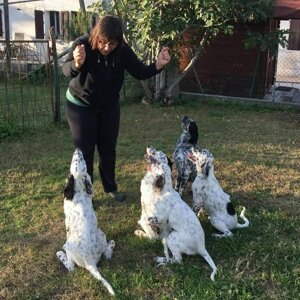 io%20vintage.jpeg io%20vintage.jpeg