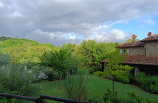 img20240508125531.jpeg