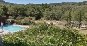 eyJlbiI6IlZpZXcgb2YgdGhlIGx1c2ggZ3JlZW4gZ2FyZGVuIGFuZCB0aGUgc3dpbW1pbmcgcG9vbCBmcm9tIHRoZSBibHVlIGJlZHJvb20gd2luZG93In0= eyJlbiI6IlZpZXcgb2YgdGhlIGx1c2ggZ3JlZW4gZ2FyZGVuIGFuZCB0aGUgc3dpbW1pbmcgcG9vbCBmcm9tIHRoZSBibHVlIGJlZHJvb20gd2luZG93In0=