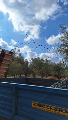 20241031_121440.jpeg 20241031_121440.jpeg