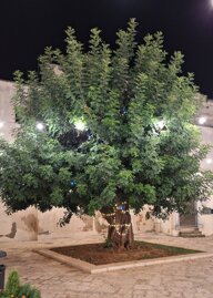 20241027_221226.jpeg 20241027_221226.jpeg