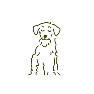 reico illu hund 01 alge rgb reico illu hund 01 alge rgb