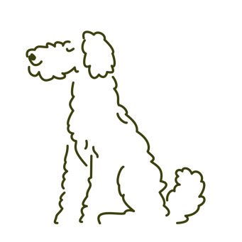reico illu hund 02 alge rgb reico illu hund 02 alge rgb