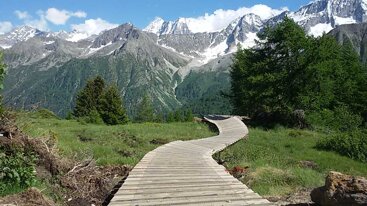 661acf49-5ec6-4f8a-b967-136903bbca82