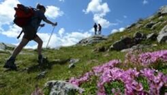 40d14d4e-36db-4ace-9c0f-040965fd51c0