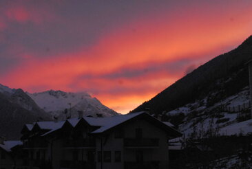 3c20b1ed-355f-47bb-a4d3-36ccb289293d 3c20b1ed-355f-47bb-a4d3-36ccb289293d