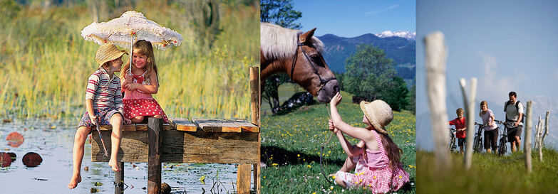 8eea9ba7-de4a-46af-ae63-8c368806e0b9 8eea9ba7-de4a-46af-ae63-8c368806e0b9