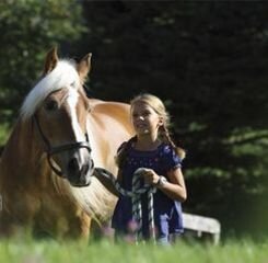 7d217d4d-105b-4d42-a09a-da93c9c1b92f