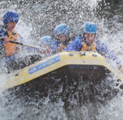 4ec855d6-bacb-4eb4-b50e-12302fa93a0a