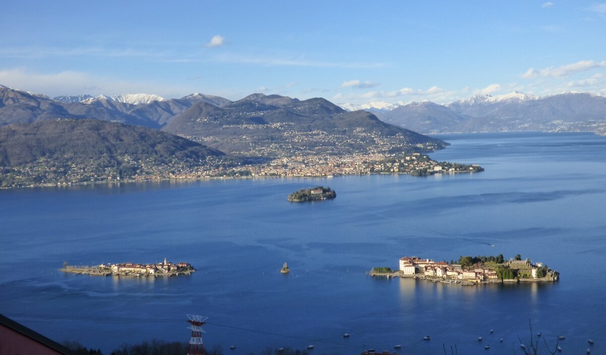 41185385-60d4-48f9-8ec0-b9596098fa23