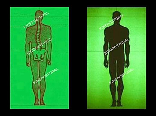333fe5a5-73a1-4c7d-9522-01fda3984f0f