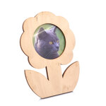 c6b42dc3-4794-44e7-bdc6-b2fa20079480