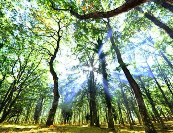 872fa18e-a4df-4cac-9734-46e3bdce0e62 872fa18e-a4df-4cac-9734-46e3bdce0e62