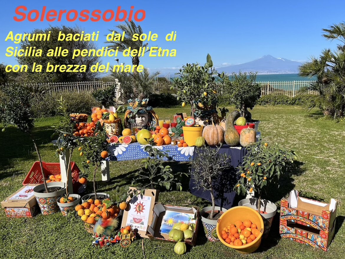 a09da0a4-7b51-4700-afb9-fa7dd5d35a54.jpeg a09da0a4-7b51-4700-afb9-fa7dd5d35a54.jpeg