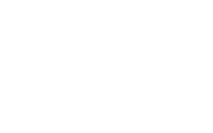 logo vittoria apt bianco scritta modificata