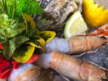 3f4b1184-cdf3-485f-9d1c-3bdc17fc160d