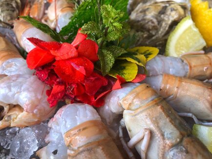 4db3c6c8-1105-4bc2-9c0f-0028b660d1a6