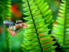 42b23f1d-4540-4c43-bb2d-20da92adb462