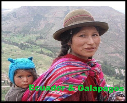 65a366dc-fac9-44f5-a691-610fc8175f64