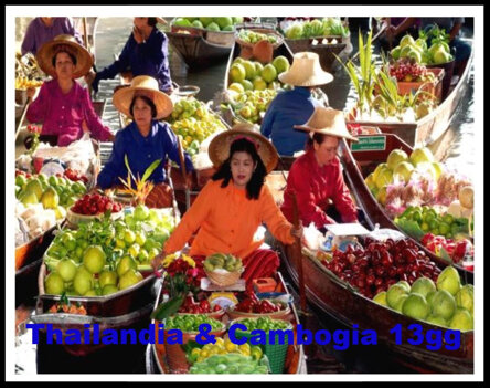 4687444a-c9b9-41a9-9164-6ab44406f9ea